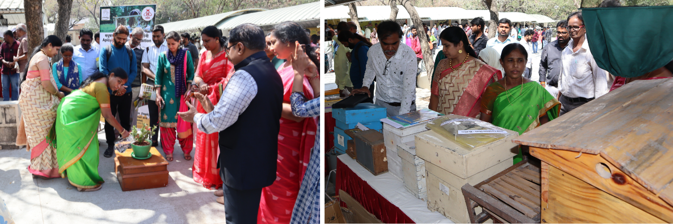 Dr. Sarada Jayalakshmi Devi, Vice-Chancellor, ANGRAU & Dr. S. Glory Swarupa, DG, ni-msme inaugurated the Exhibition during National Seminar on Scientific Honey Beekeeping sponsored by National Bee Board, Ministry of Agriculture & Farmers Welfare, GoI