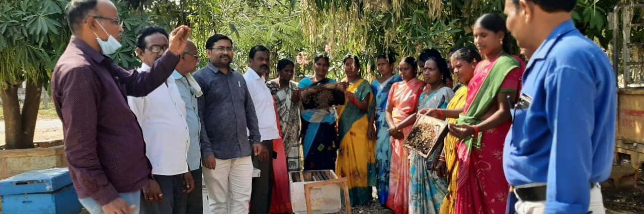 Training on Beekeeping