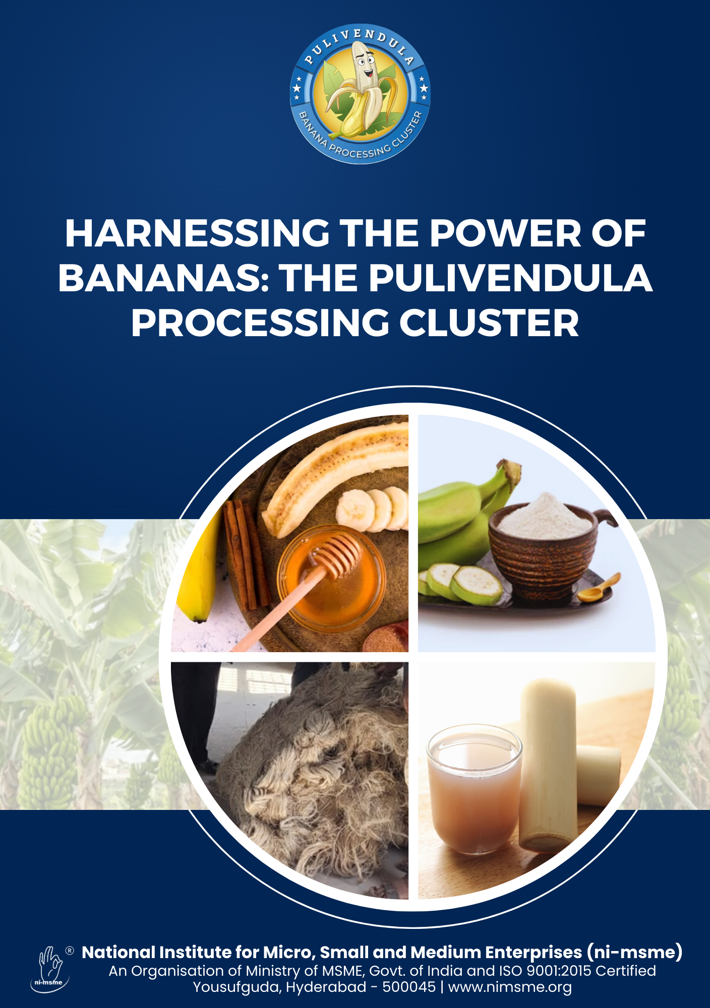 Pulivendula Banana Processing Cluster